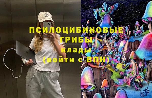 крисы Волоколамск