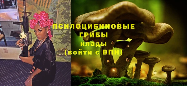 крисы Волоколамск