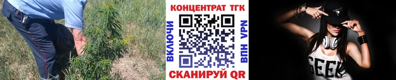 продажа наркотиков  Гвардейск  ТГК THC oil 