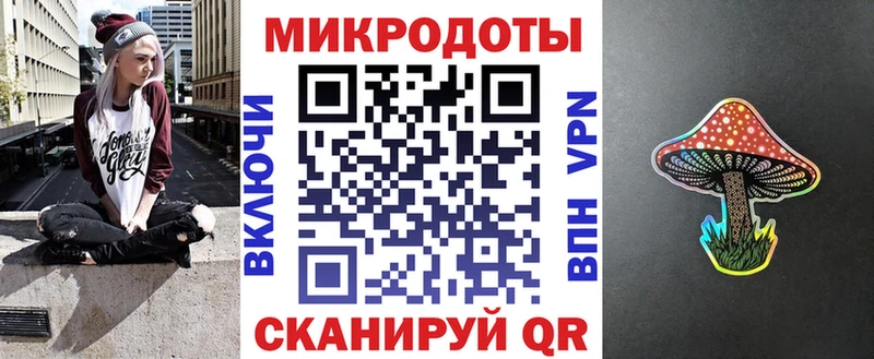 Галлюциногенные грибы Psilocybe  Гвардейск 